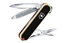 Victorinox Classic LE 2020