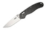 Firebird FB727S-CF Ganzo