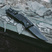 SOG Trident AT Black Out