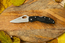 Firebird F759M-BK Ganzo