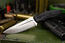 Kizlyar Supreme CityHunter AUS8