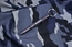 Viking Nordway P145