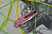 Ontario Rat Model 2 Pink