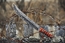 Viking Nordway K197