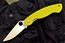 SteelClaw Боец S4 Green