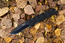 Viking Nordway P116