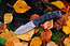 Viking Nordway P520