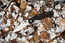 Spyderco Military Serrated