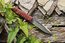 Viking Nordway H190