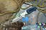 SteelClaw Shark Blue
