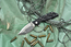 Microtech D.O.C. Flipper