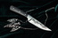 Витязь B171-34 Вереск