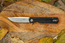 Firebird FH11-BK Ganzo