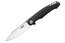 Firebird FH21-BK Ganzo