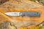 Firebird FH41-GY Ganzo