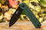 Firebird FH922PT-GB Ganzo
