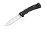 Buck Folding BuckLite MAX